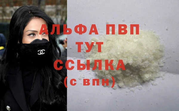 индика Балахна