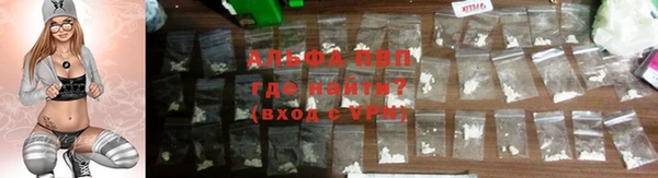 индика Балахна